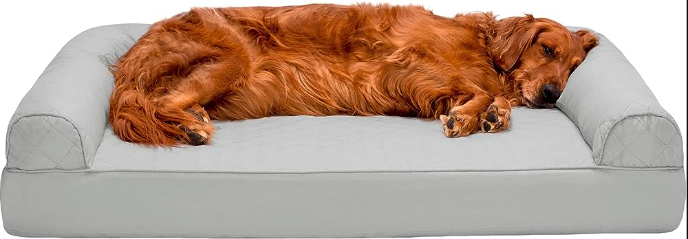 Image of the best sofa for dogs, providing comfort and durability for your furry friends