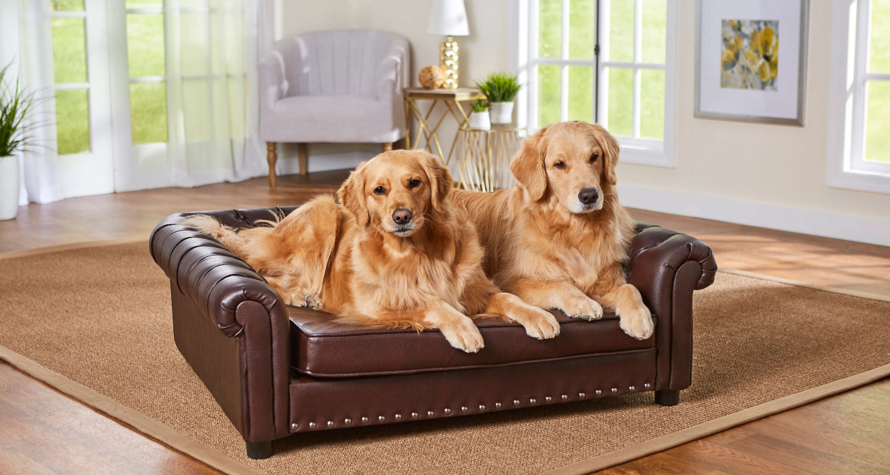 Enchanted Home Pet Library Sofa - A cozy and stylish sofa for your furry friend