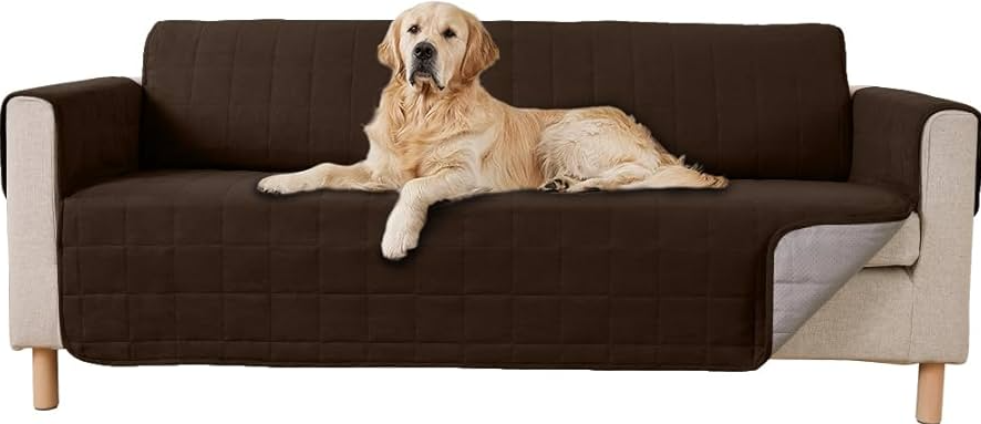 Image of the Best Sofa Deals: Find the perfect sofa at unbeatable prices