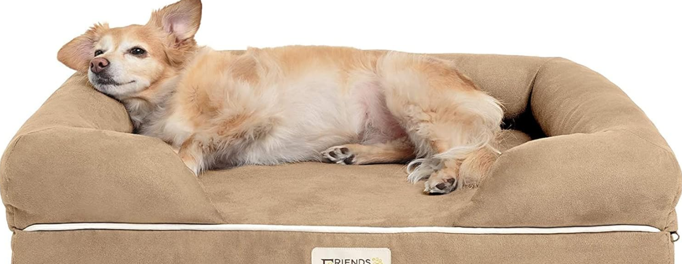 Image of the Same Friends Forever Orthopedic Dog Bed Lounge Sofa, providing ultimate comfort and support for your furry friend