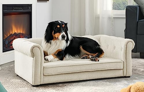 Comfortable sofa with two adorable dogs lounging on it