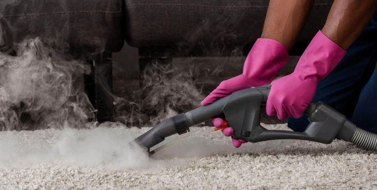 Using a steam cleaner to deep clean fabric